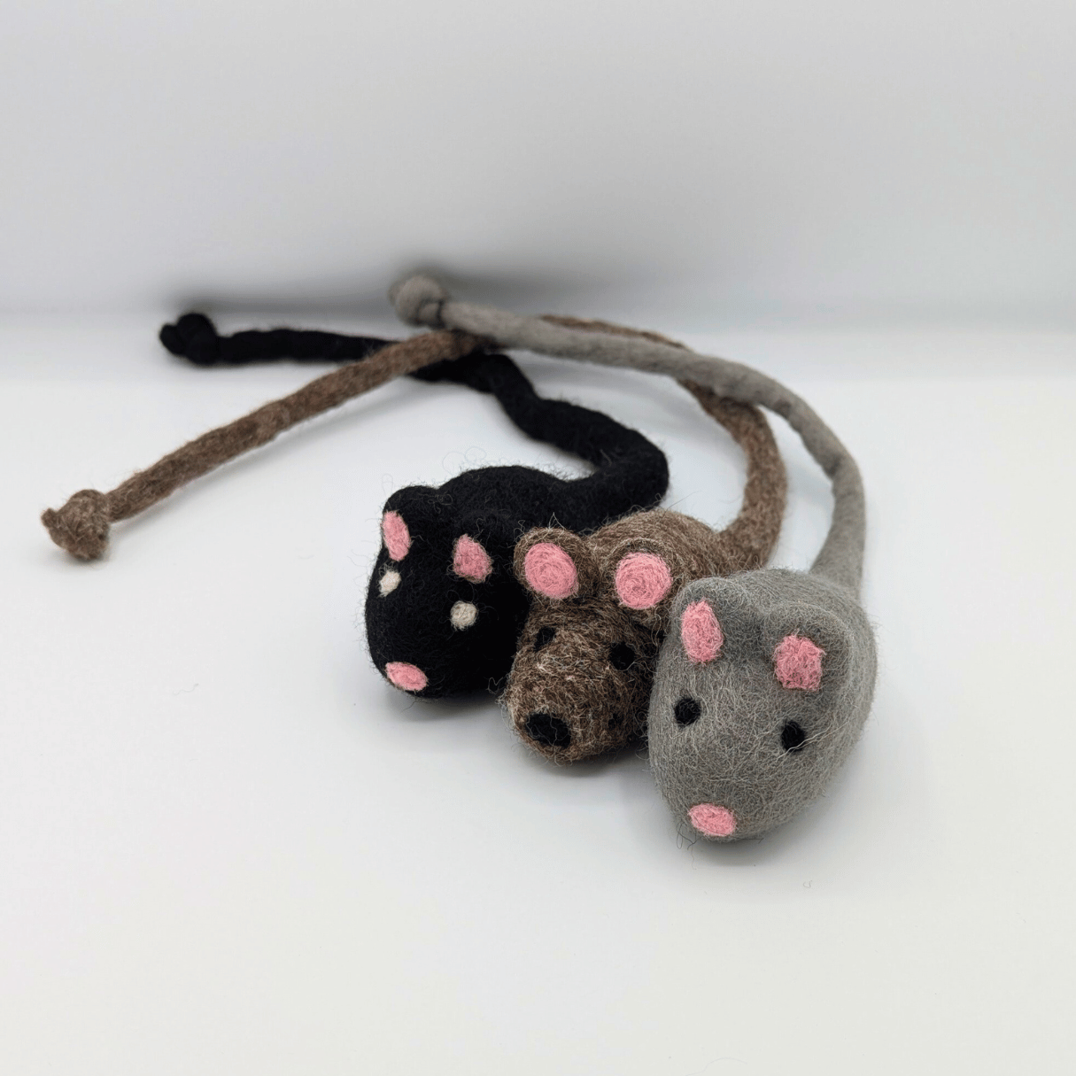 Black November Produkte - Katzenhöhlen und mehr