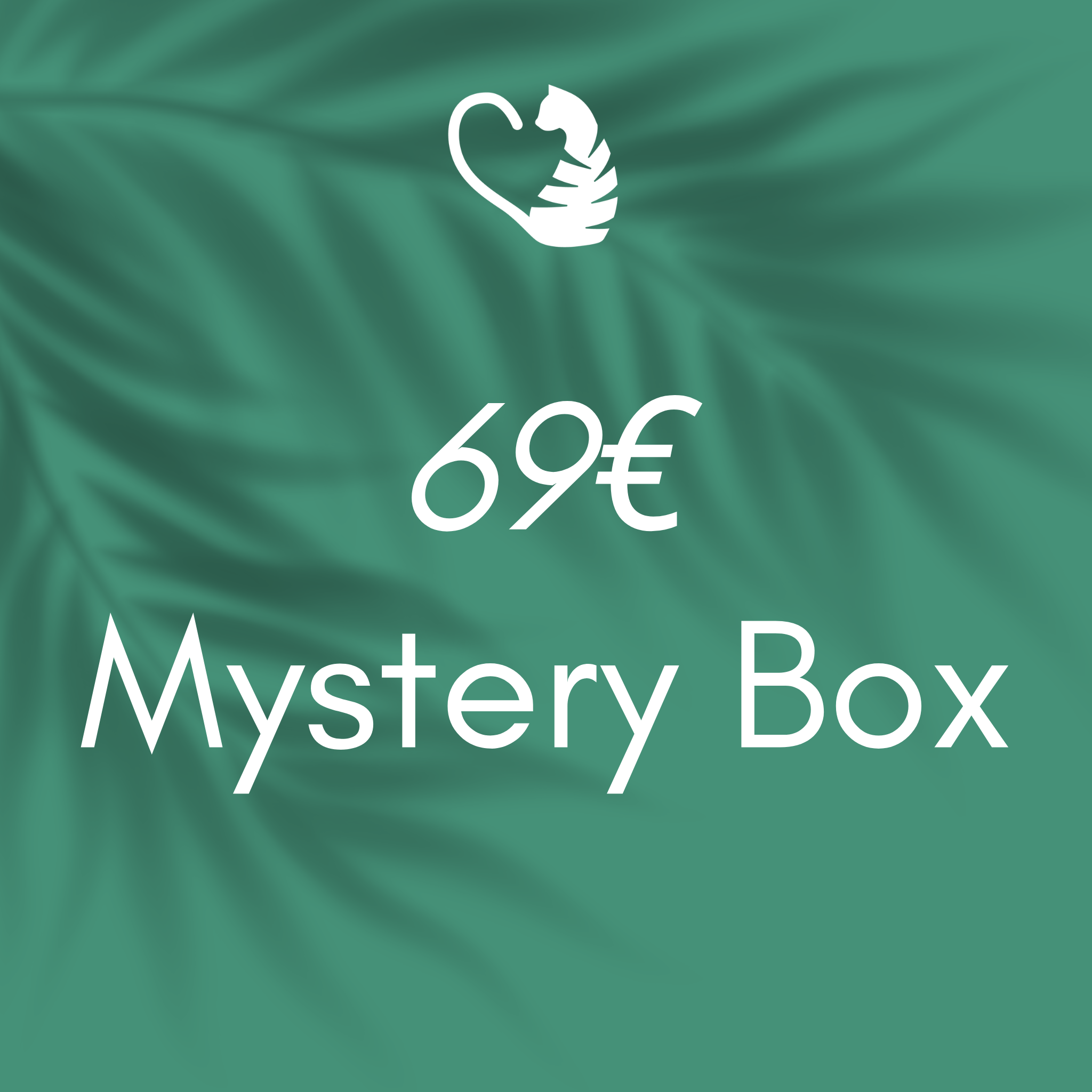 Mystery Box