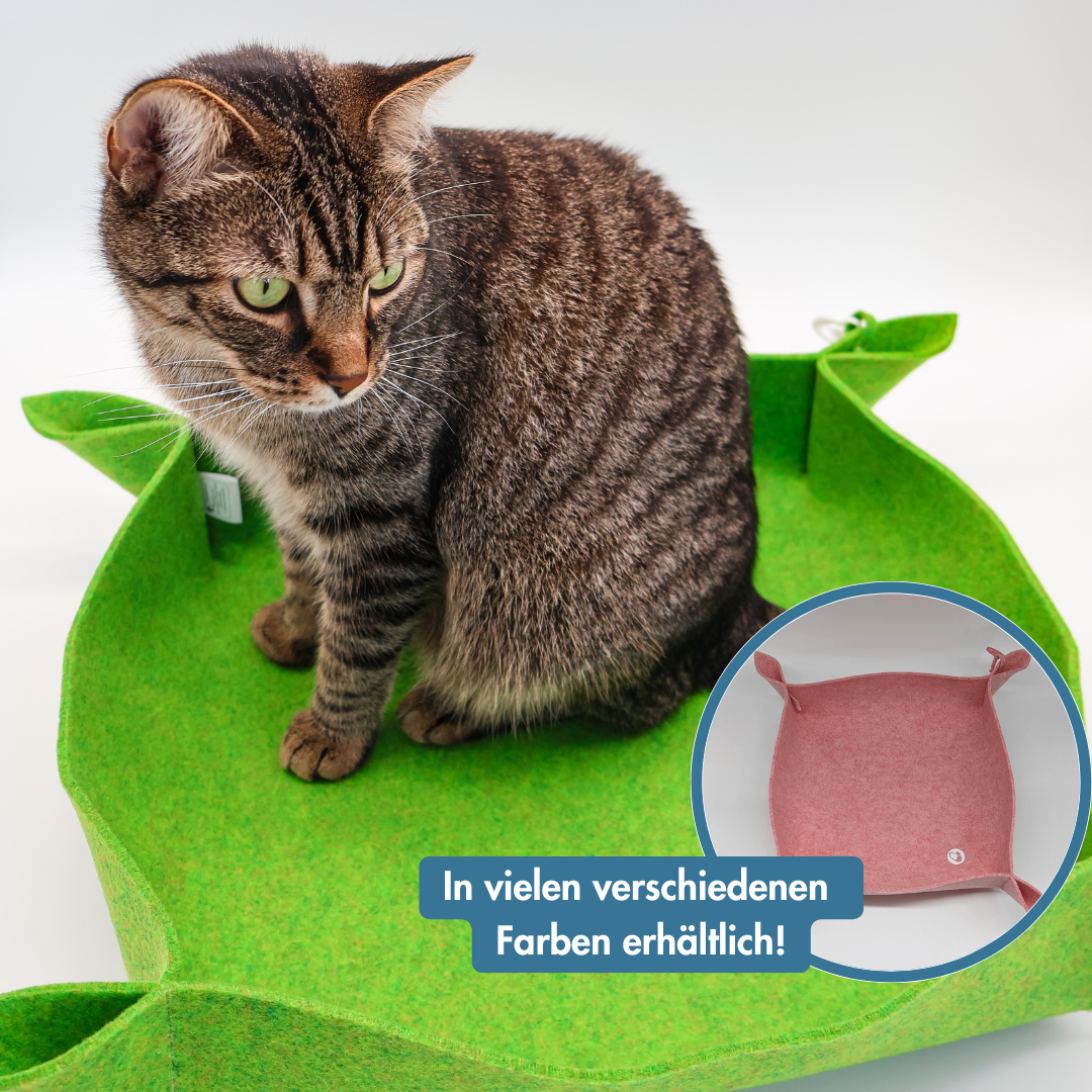 Katzenkorb - Catedikt