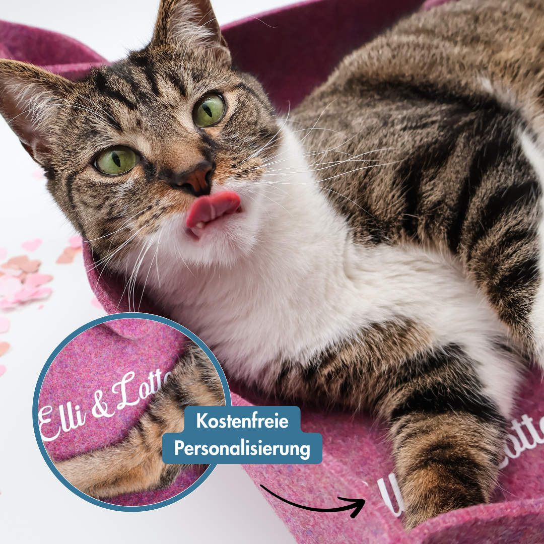 Katzenkorb - Catedikt