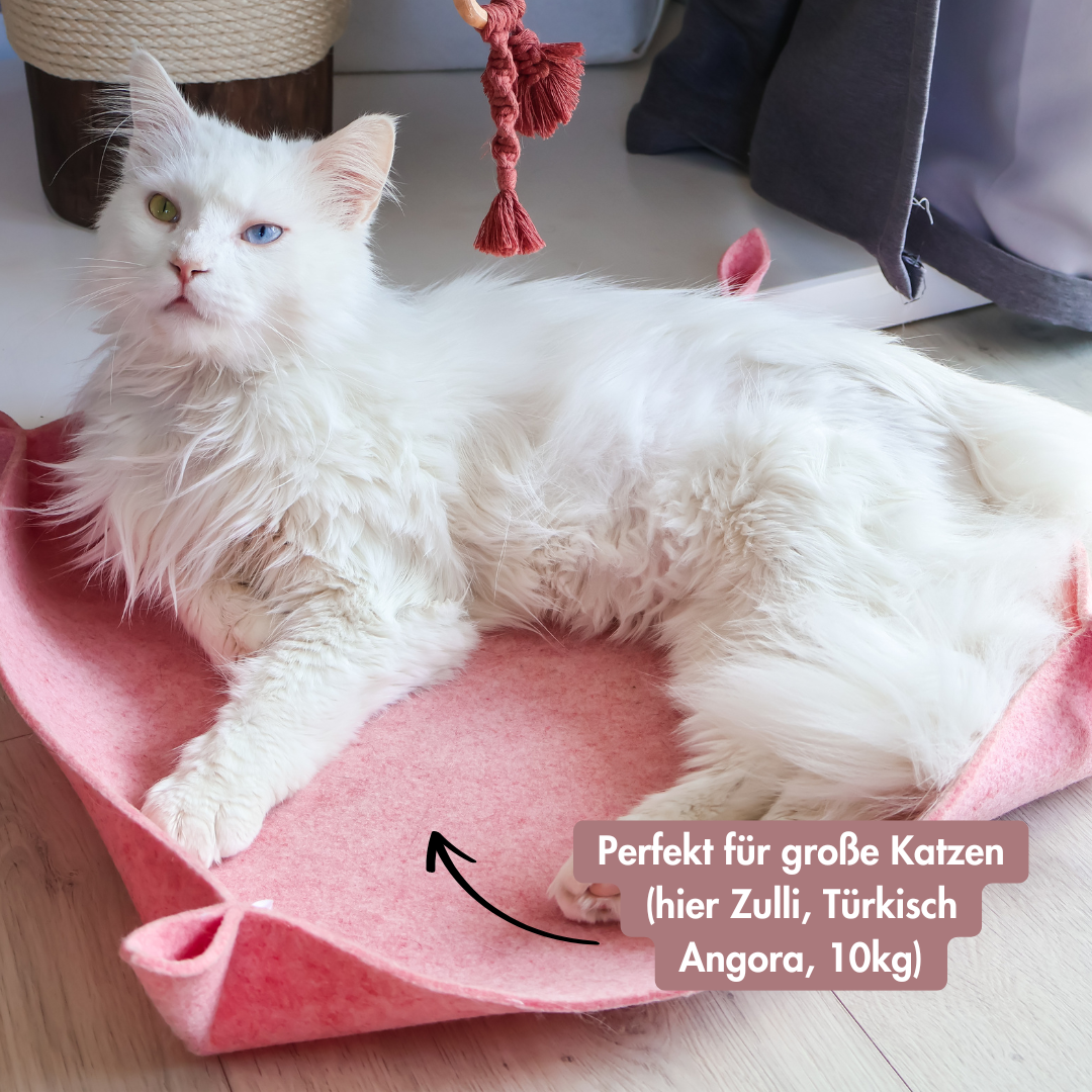 Katzenkorb PERCY XL