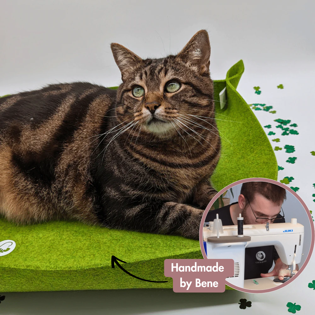 Katzenkorb PERCY XL