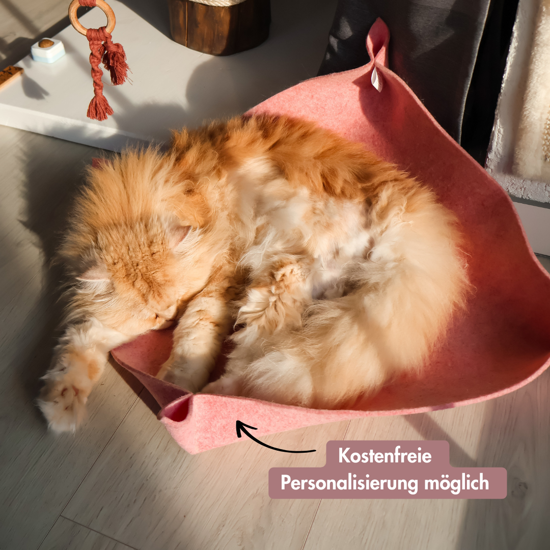 Katzenkorb PERCY XL
