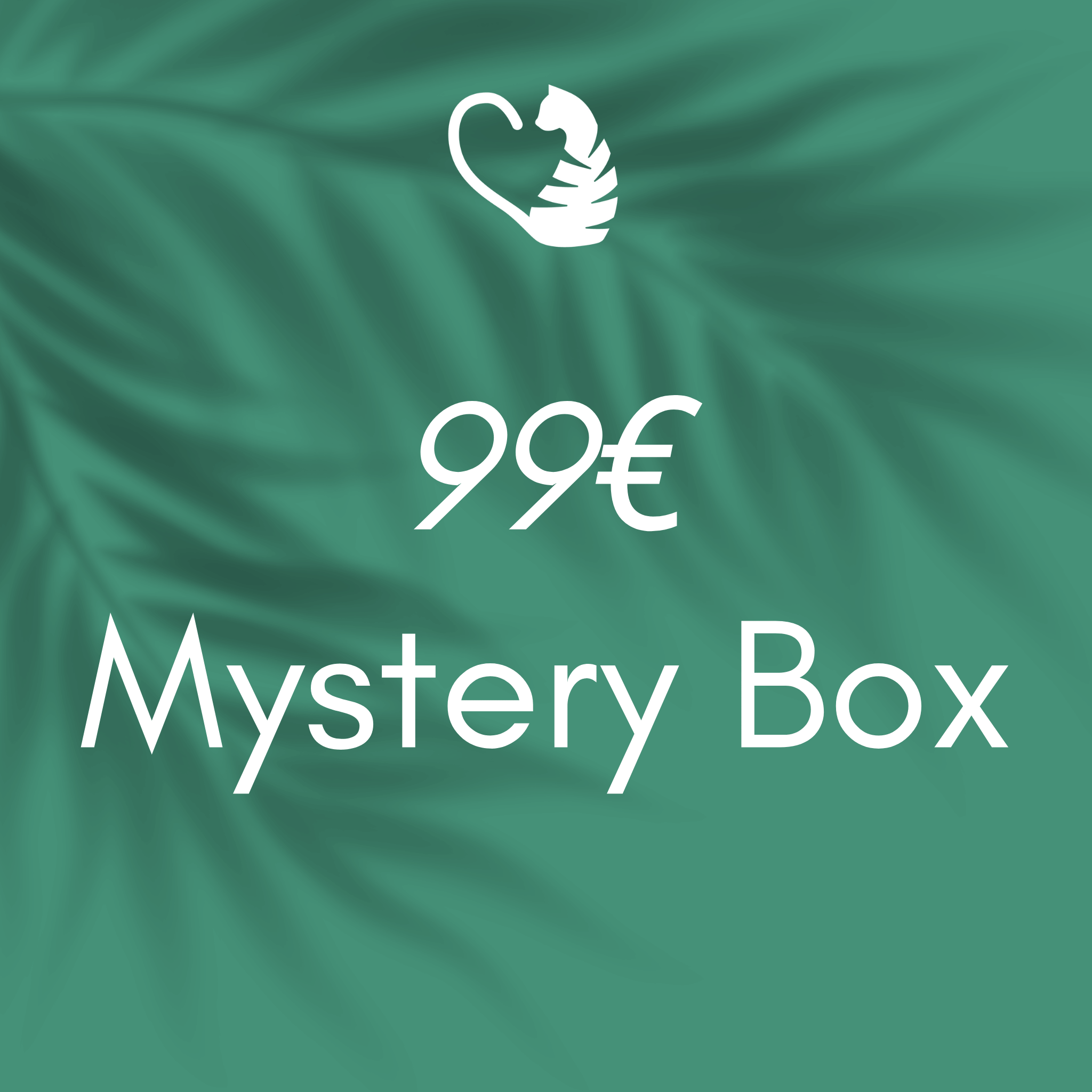 Mystery Box