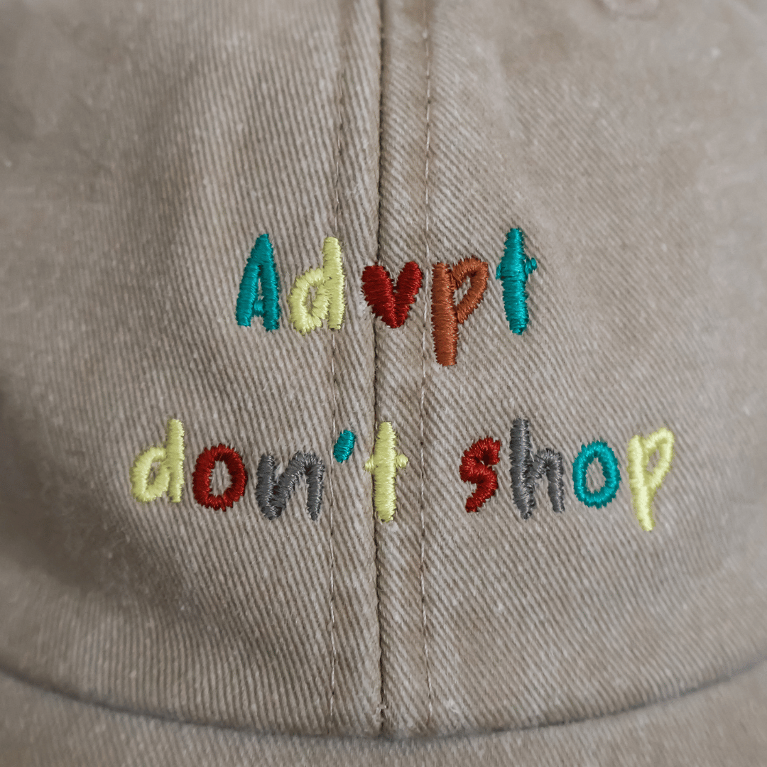 Catedikt Cap – Vintage Edition