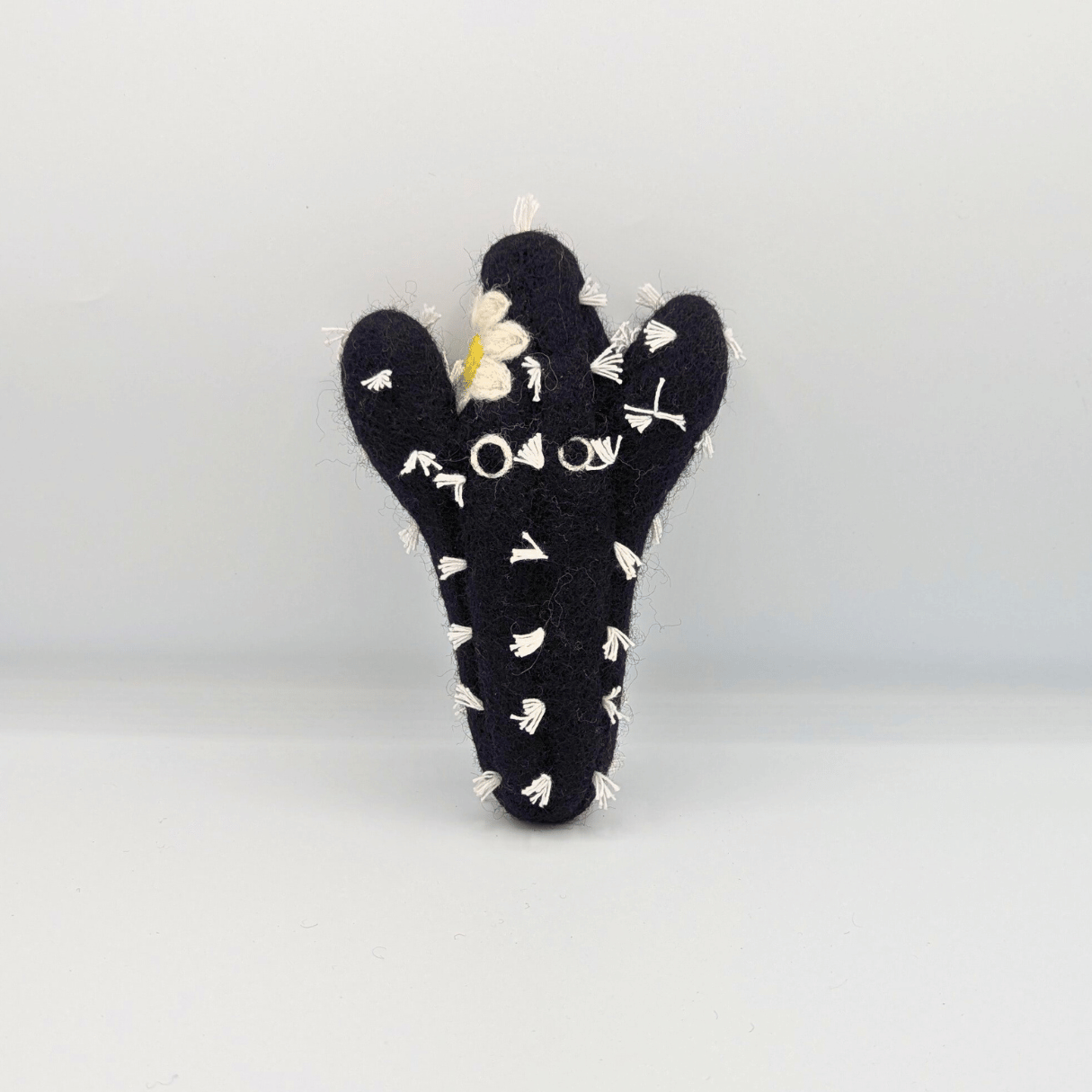 Black November Produkte - Katzenhöhlen und mehr