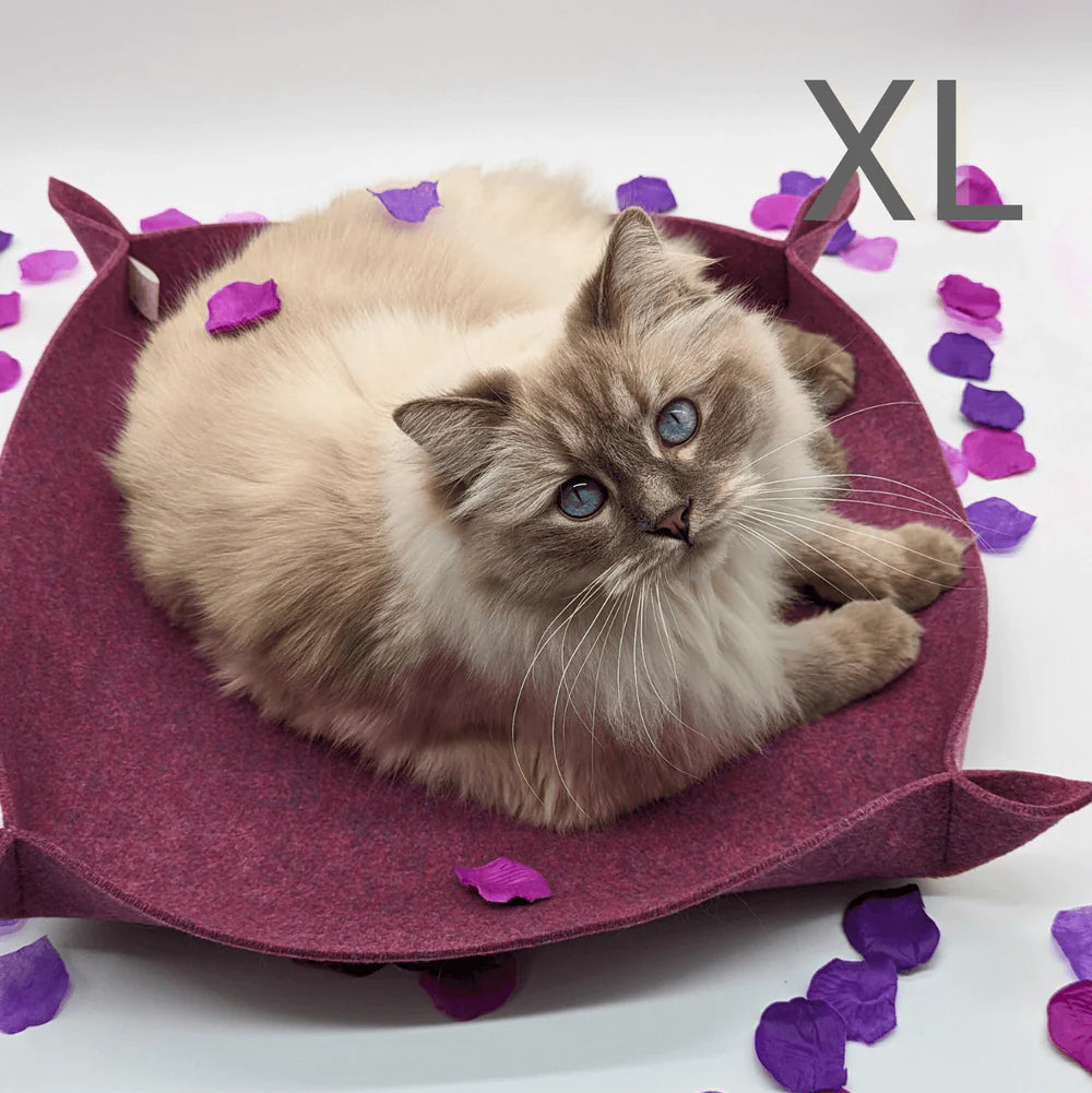 Katzenkorb PERCY XL