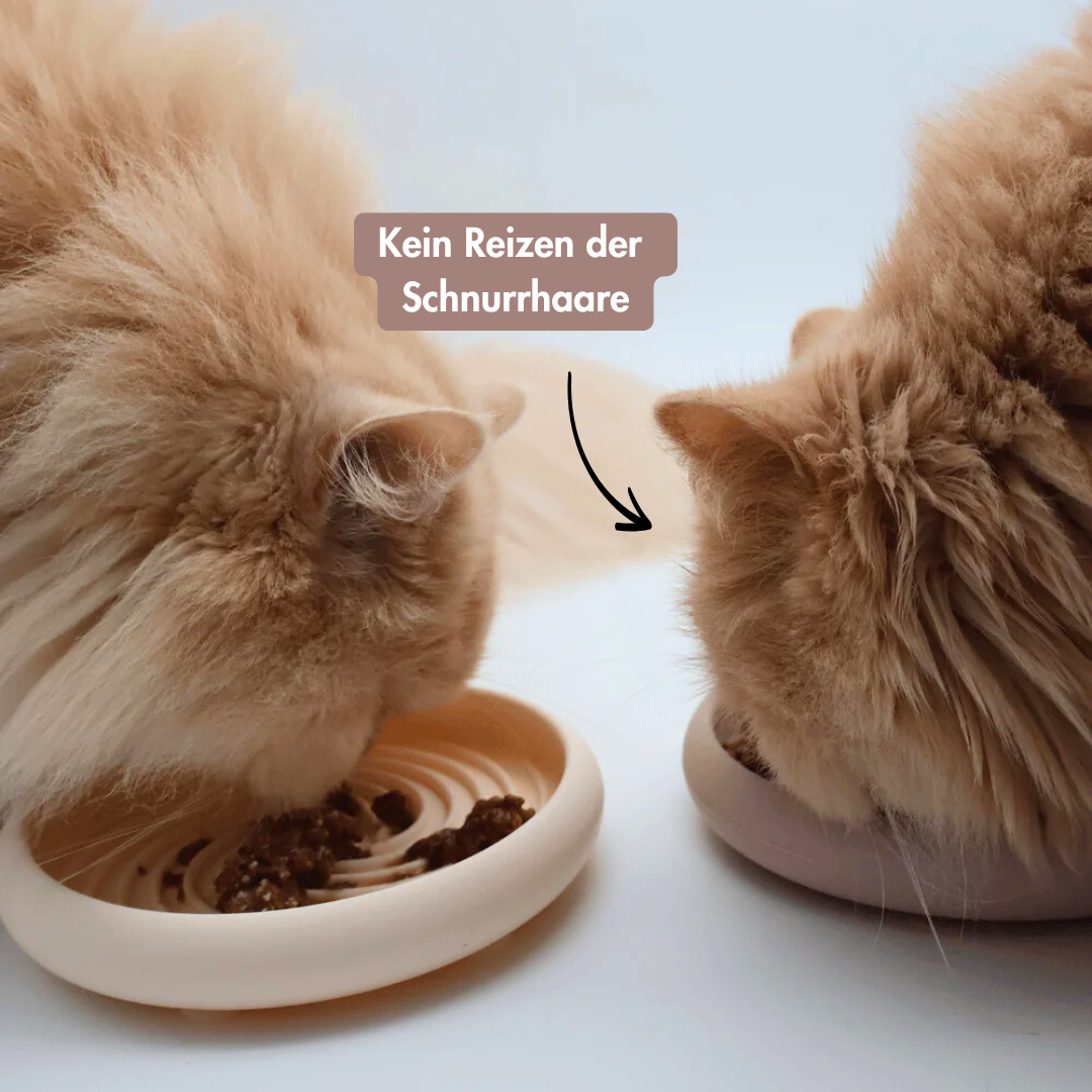 Schlecknapf
