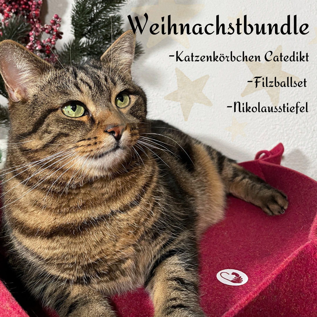 Weihnachtsbundle