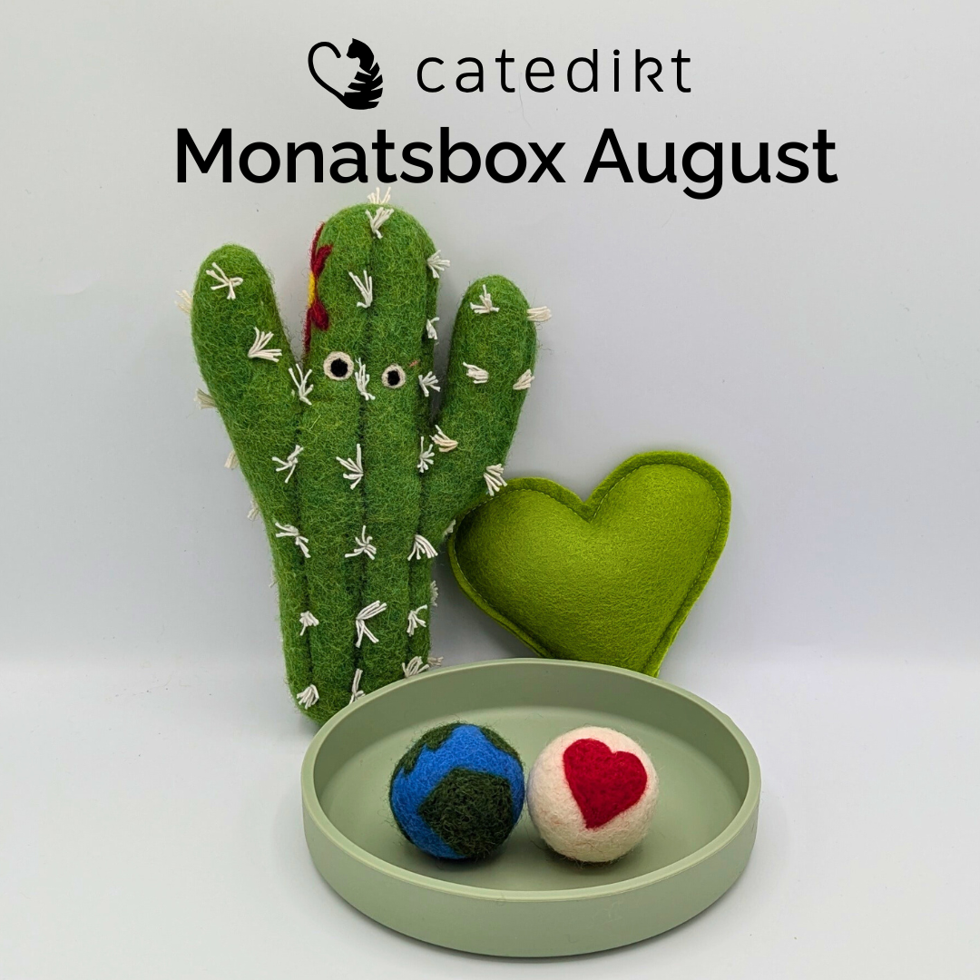 Monatsbox August