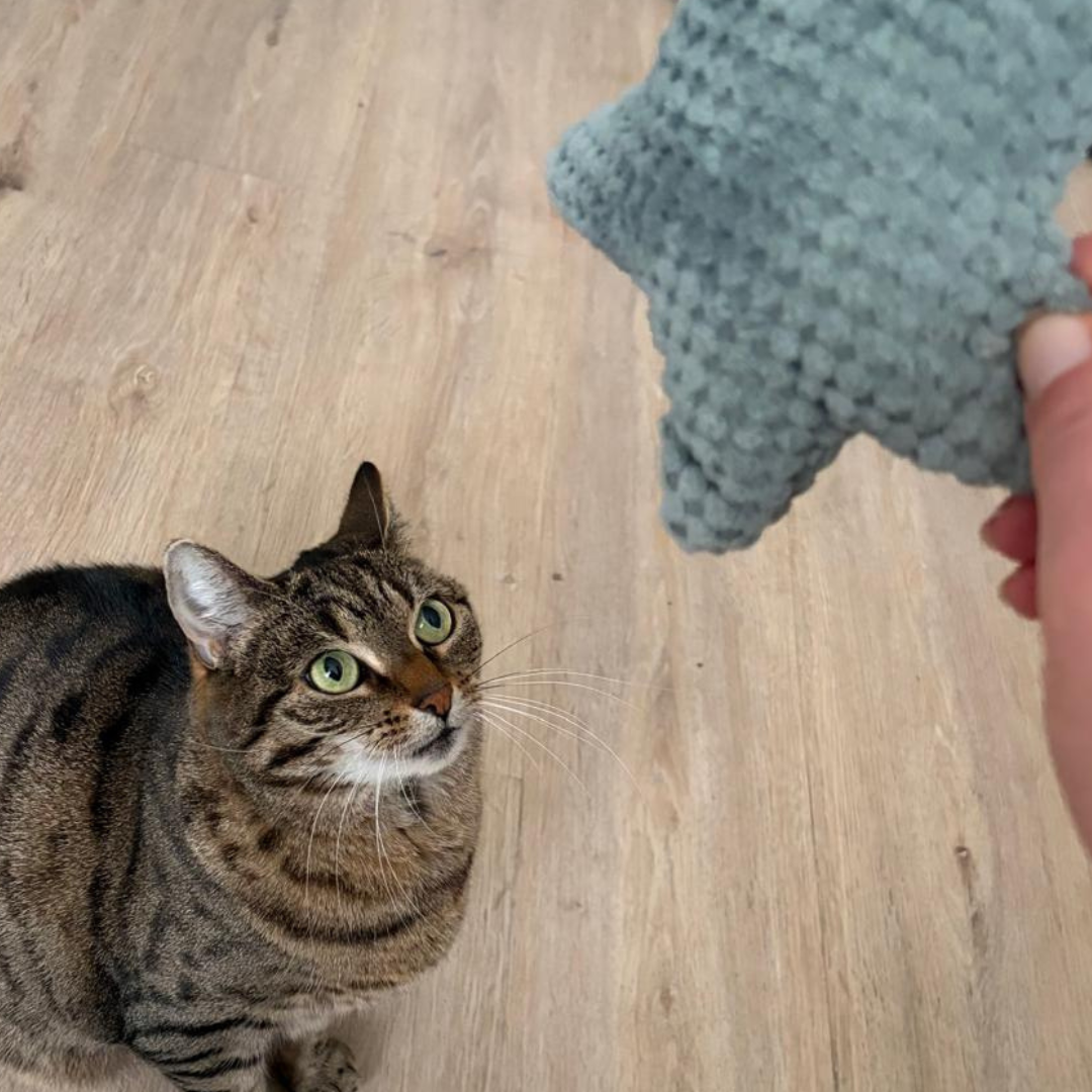 Stern Kissen - Baldrian & Katzenminze