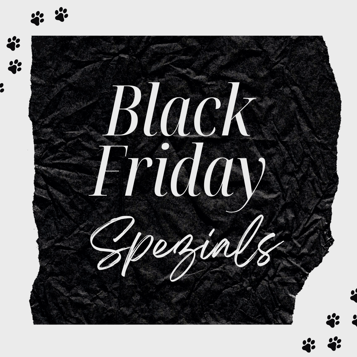 Black November Produkte - Katzenhöhlen und mehr