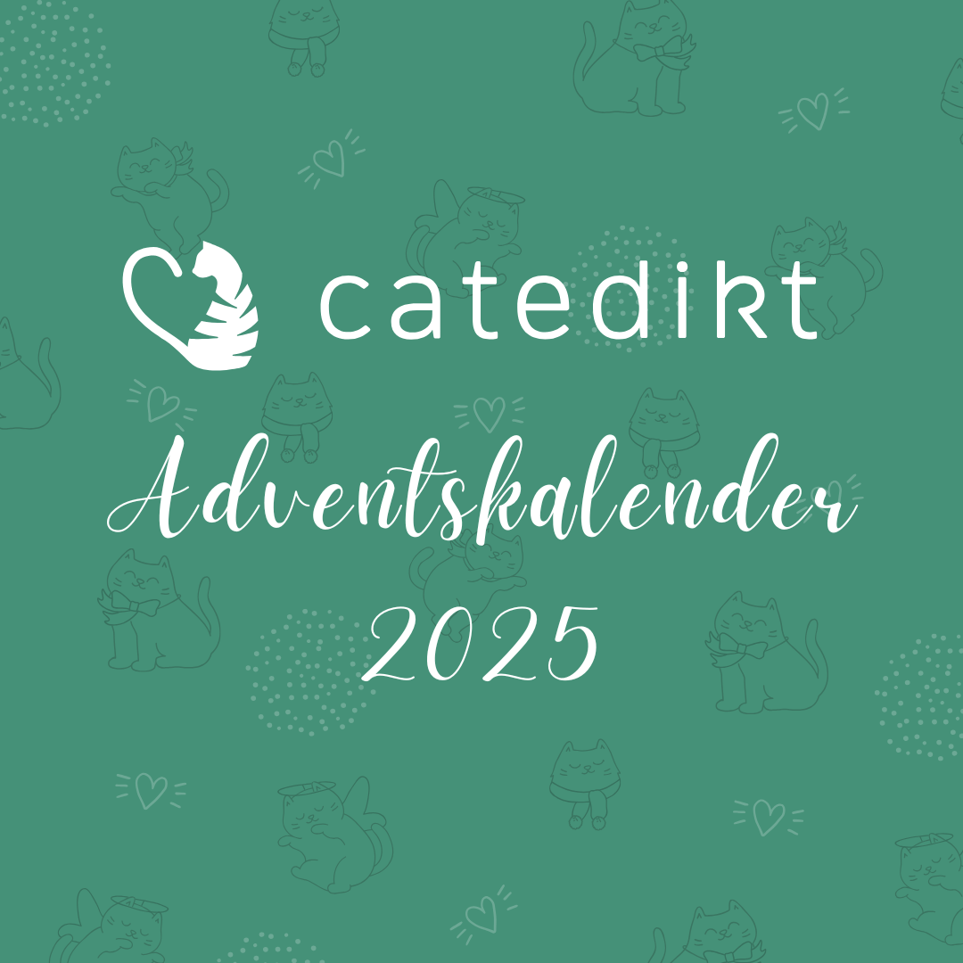 Adventskalender 2025