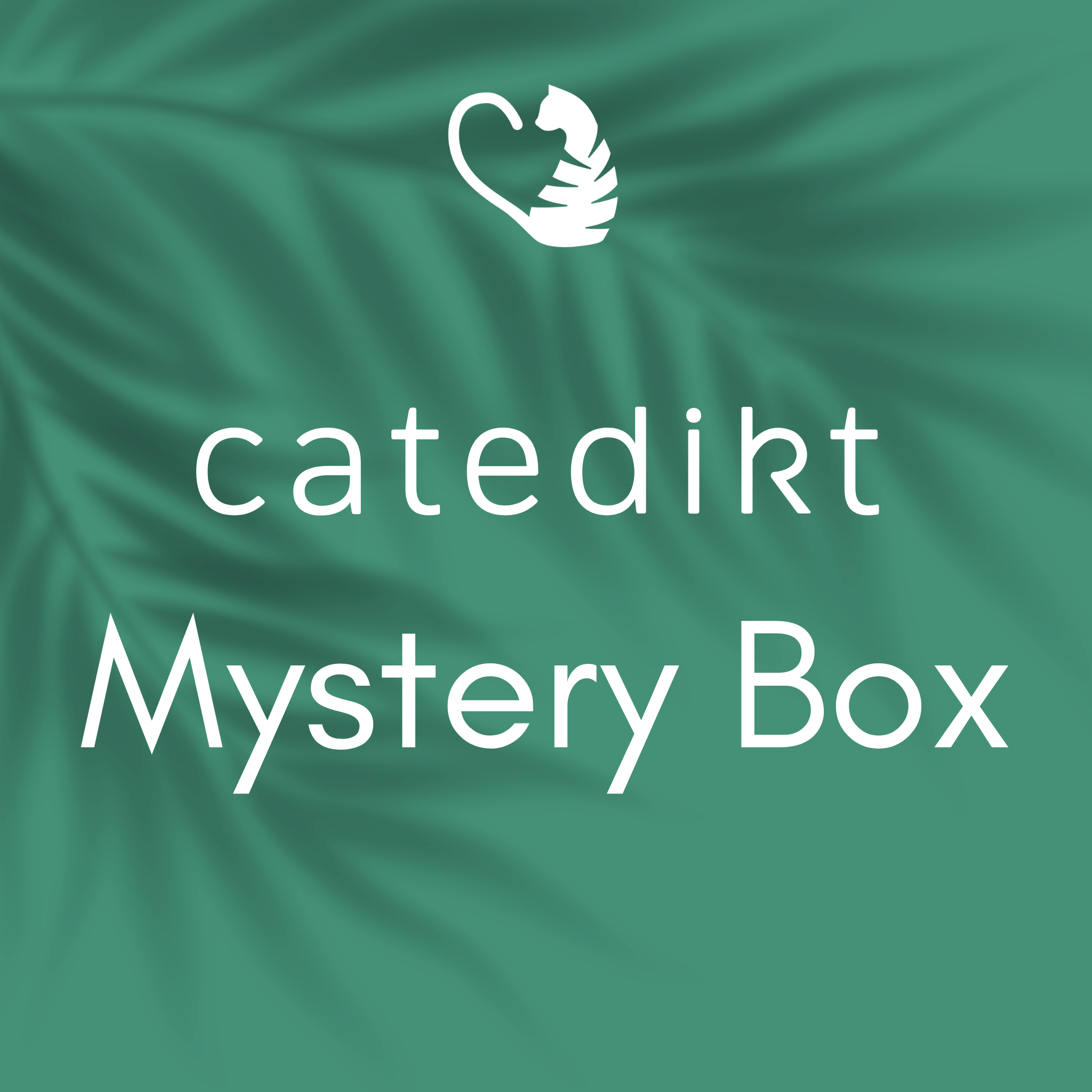 Catedikt Mystery Boxen