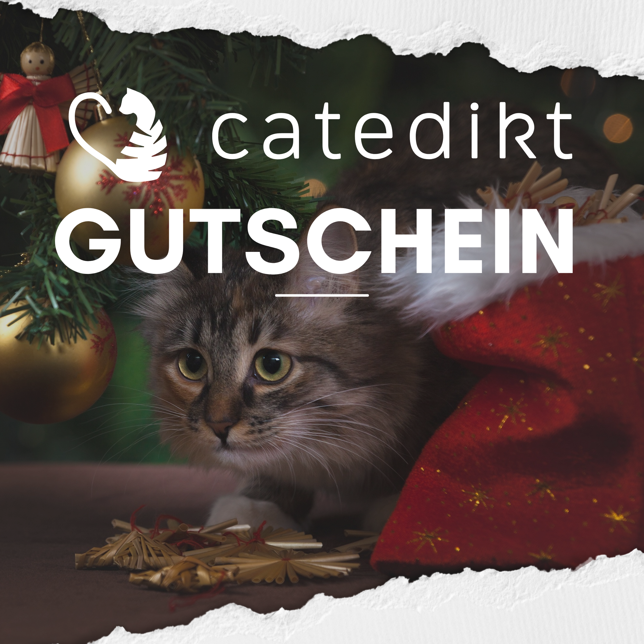 Catedikt Gutschein