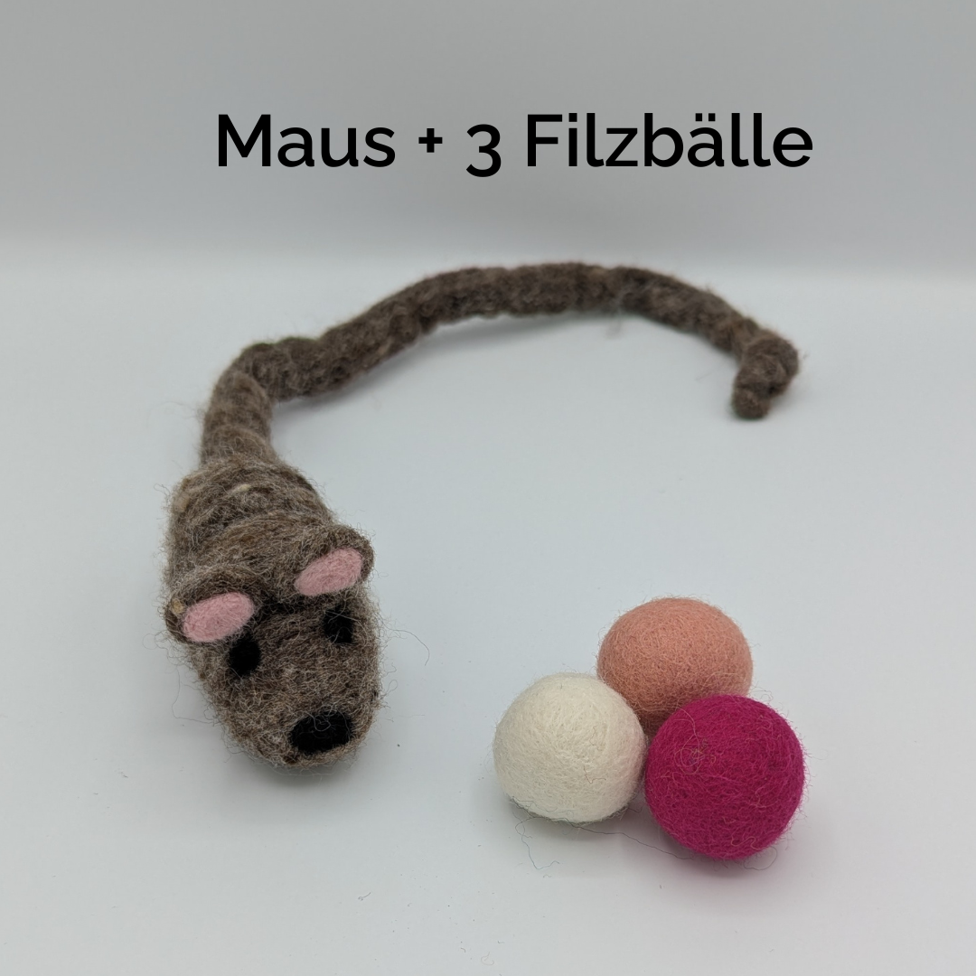 Catedikt Monatsboxen
