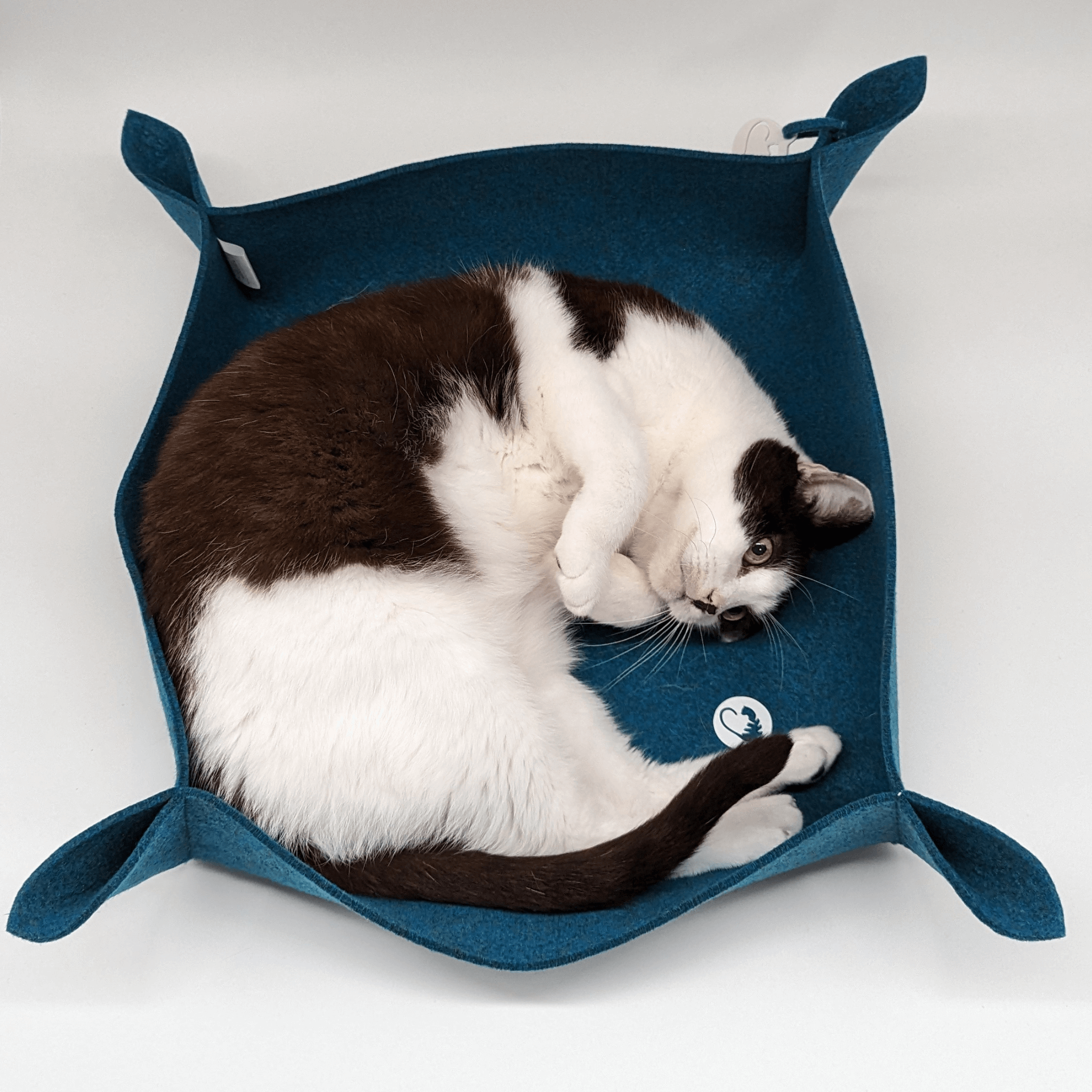 Katzenbett mit erhöhten Rand - fürs eine glücklichere Katze