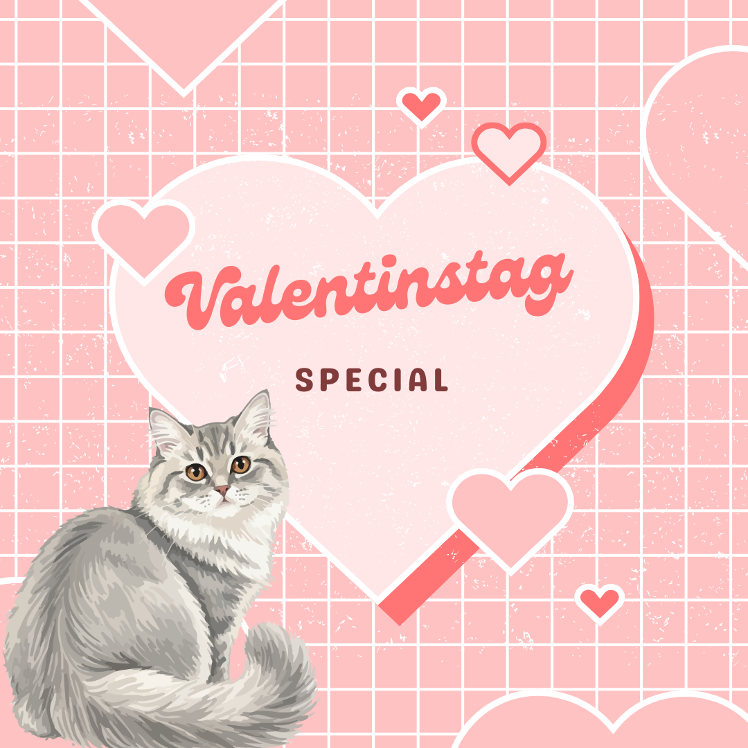 Valentinstagsaktion - Produkte für Dich und Deine Katzen