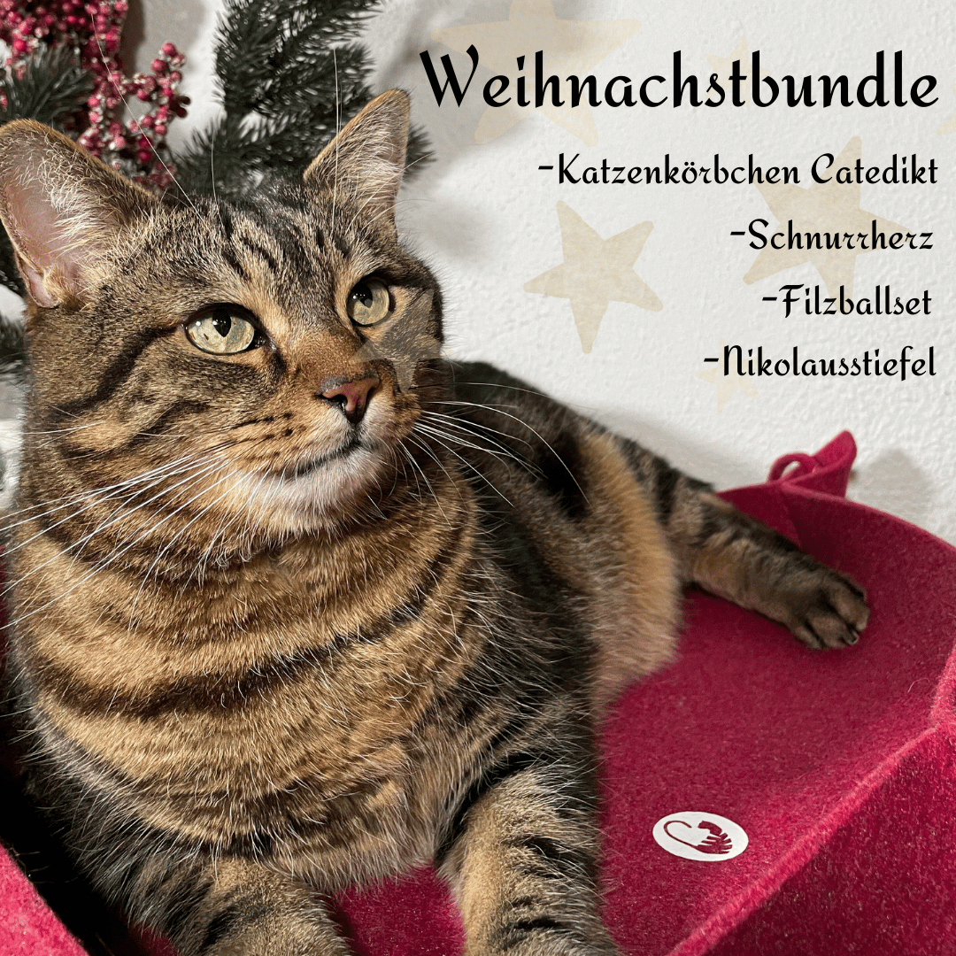 Weihnachtsbundle